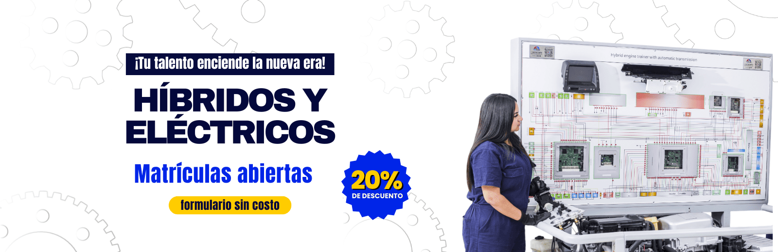 Híbridos y Eléctricos